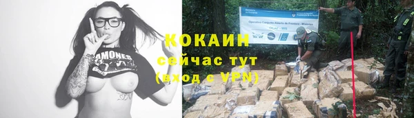 гашик Абаза