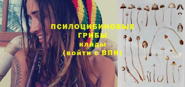 гашик Абаза