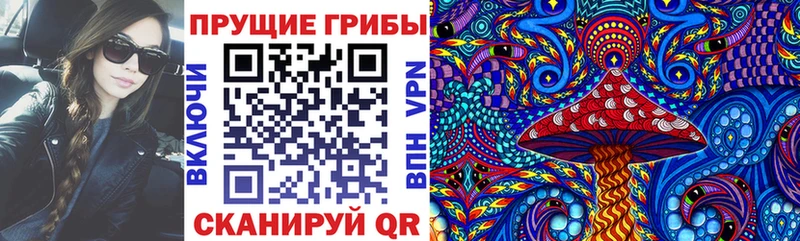 Псилоцибиновые грибы Psilocybine cubensis  где купить наркоту  Рыльск 